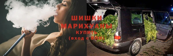 твердый Новодвинск