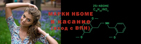 твердый Новодвинск