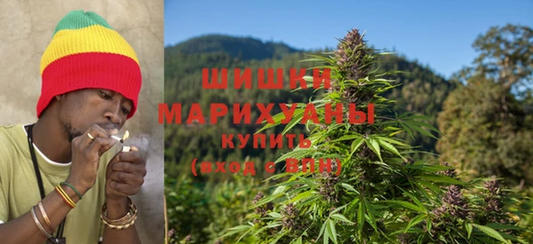 твердый Новодвинск